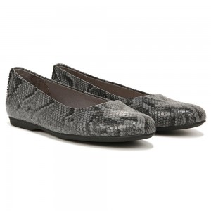 Grey Synthetic Women's Dr. Scholl's Wexley Ballet Flats | 69830-RNKV